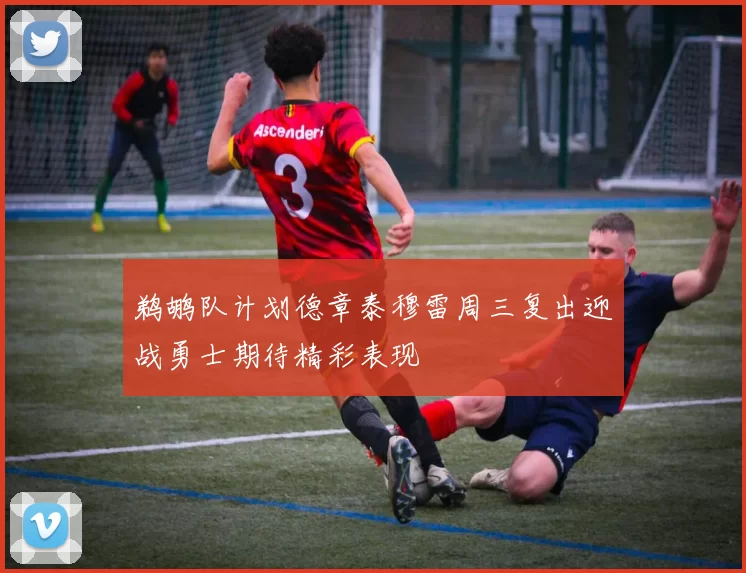 鹈鹕队计划德章泰穆雷周三复出迎战勇士期待精彩表现