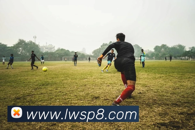 乐玩体育APP 高清赛事图